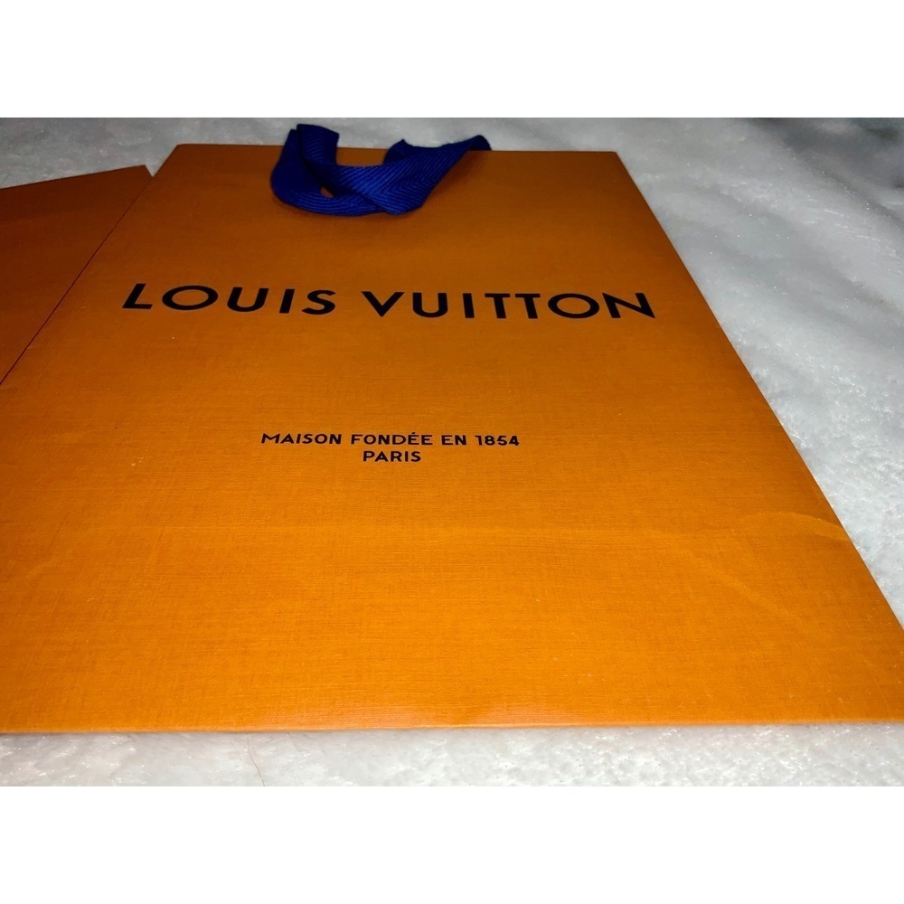 Louis Vuitton Shopping Gift Bags - Picture 5 of 8